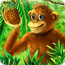 Monkey's Friends