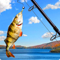 Addictive Angling - Download Free Games