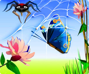 Spider Hunting - Top Games